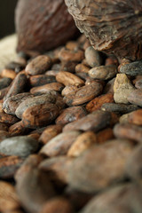 kakaofrüchte und kakabohnen