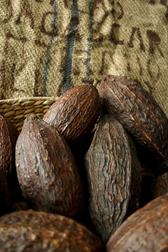 Kakaofr&uuml;chte im Korb