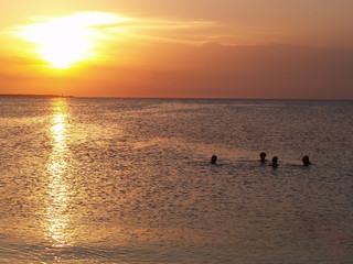 Group of swimming people at sunset. Island Zanzibar