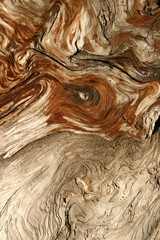 wood textrue