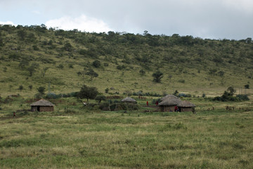 Traditional masai village in Kenya. Africa - 3711569