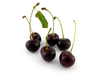 Ripe cherries. A close up. It is isolated on a white background.