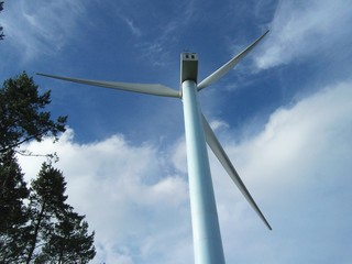 Molinos eólicos8