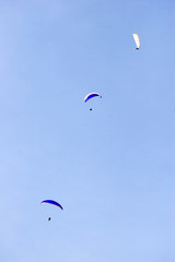 paragliders in group