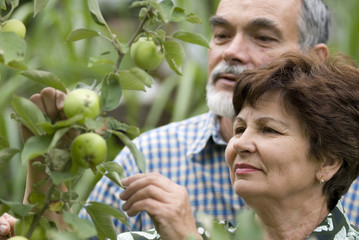 Obraz premium romantic senior couple