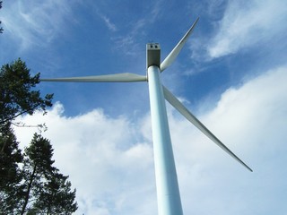 Molinos eólicos11