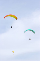 paragliders in the sky