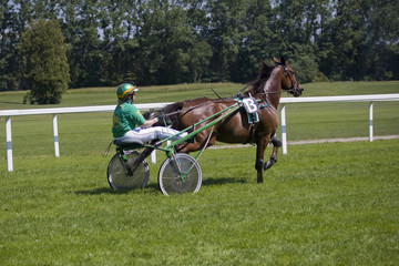Track racing in a buggy