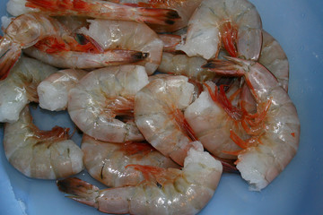 Scrumptious Shrimp Ready for Cooking