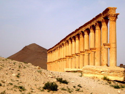 Palmyra