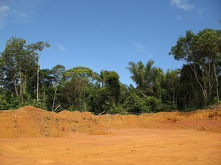 Abholzung Regenwald, Amazonas - Brasil