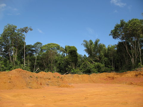 Abholzung Regenwald, Amazonas - Brasil