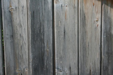 Fototapeta premium photo de bois