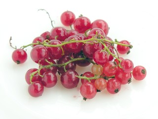 red currants