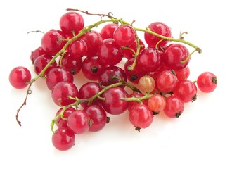 red currants clusters
