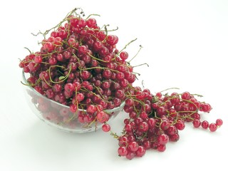 red currants