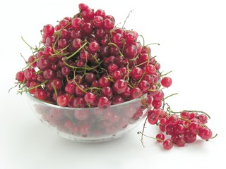 red currants