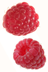 Raspberry fruit detail isolated on white background