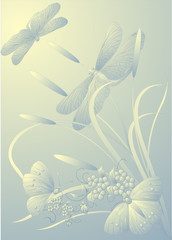 illustration with butterflies, dragonflies and flowers
