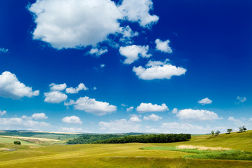 The pasture, blue sky, clouds.
