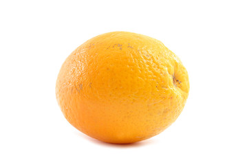 One Fruit Orange on white background .