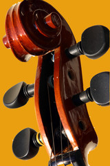 violin
