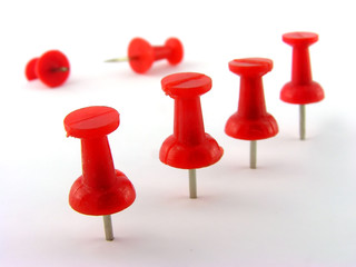 Red pushpins. A close up. It is isolated on a white background.