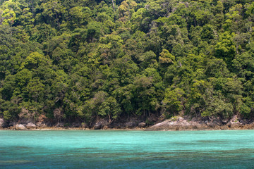 dense tropical coastline