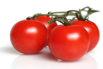 Cherry truss tomatoes, on white.  Shallow depth of field.