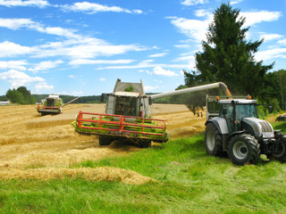 zwei grüne Mähdrescher und Traktor ernten ein Getreidefeld ab
