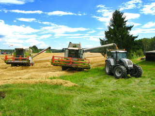 zwei grüne Mähdrescher und Traktor ernten ein Getreidefeld ab © Franz Pfluegl