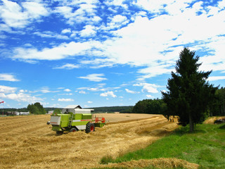 Fototapeta premium Mähdrescher erntet ein Getreidefeld ab