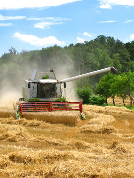 gr&uuml;ner M&auml;hdrescher erntet ein Getreidefeld ab mit Wald