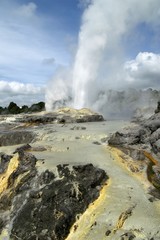 Geyser