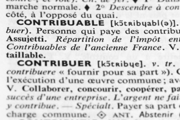 CONTRIBUABLE-DICTIONNAIRE