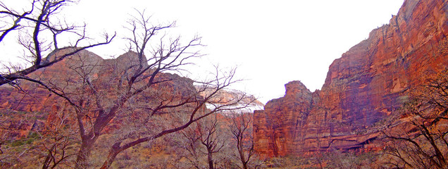 wadi sorrunded by mountains in zion park