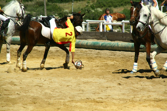 Horse Ball