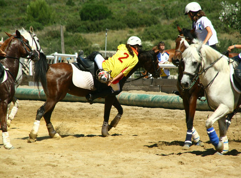 Horse Ball