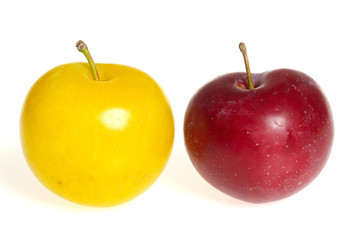 deux prunes jaune et rouge