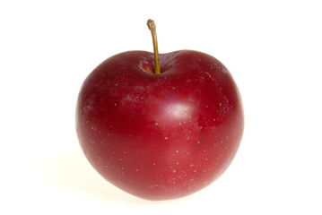 prune rouge