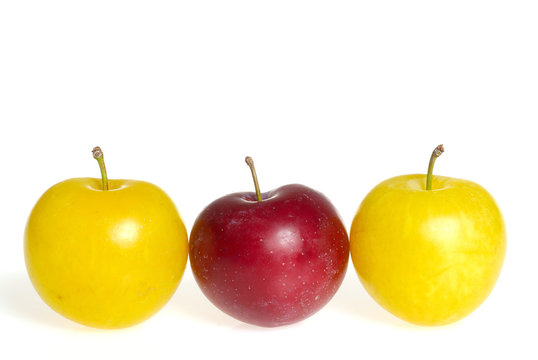trois prunes jaune et rouge