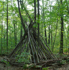 Teepee Made From Tree Branches