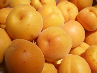 Abricots