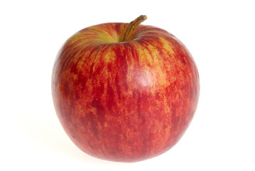 pomme royal gala