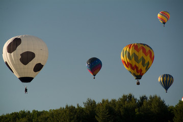 Ascending flight of Colorful Hot Air Balloons