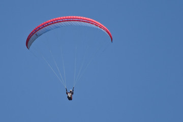 Paraglider