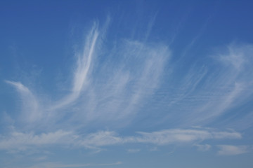 blue sky with white clouds