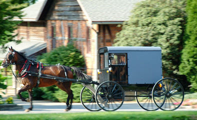 Amish Buggy in Lancaster, PA