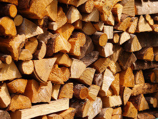 Brennholz