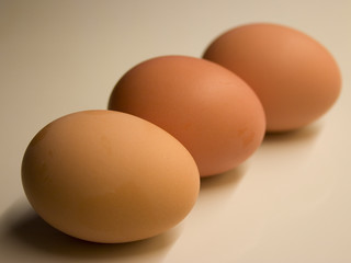 Eggs Fresh